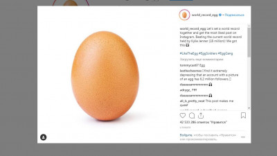 Куриное яйцо стало рекордсменом Instagram