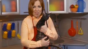 Кот в свитере – за две минуты!