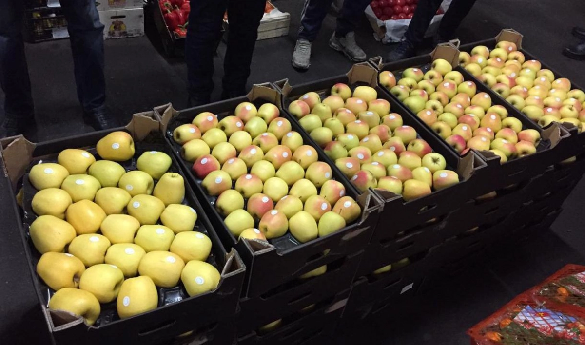 В Петербурге уничтожили почти 2 тонны украинских яблок - tvspb.ru