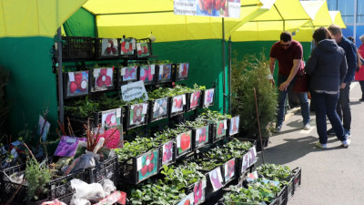 ЗакС намерен вдвое увеличить время работы ярмарок в Петербурге