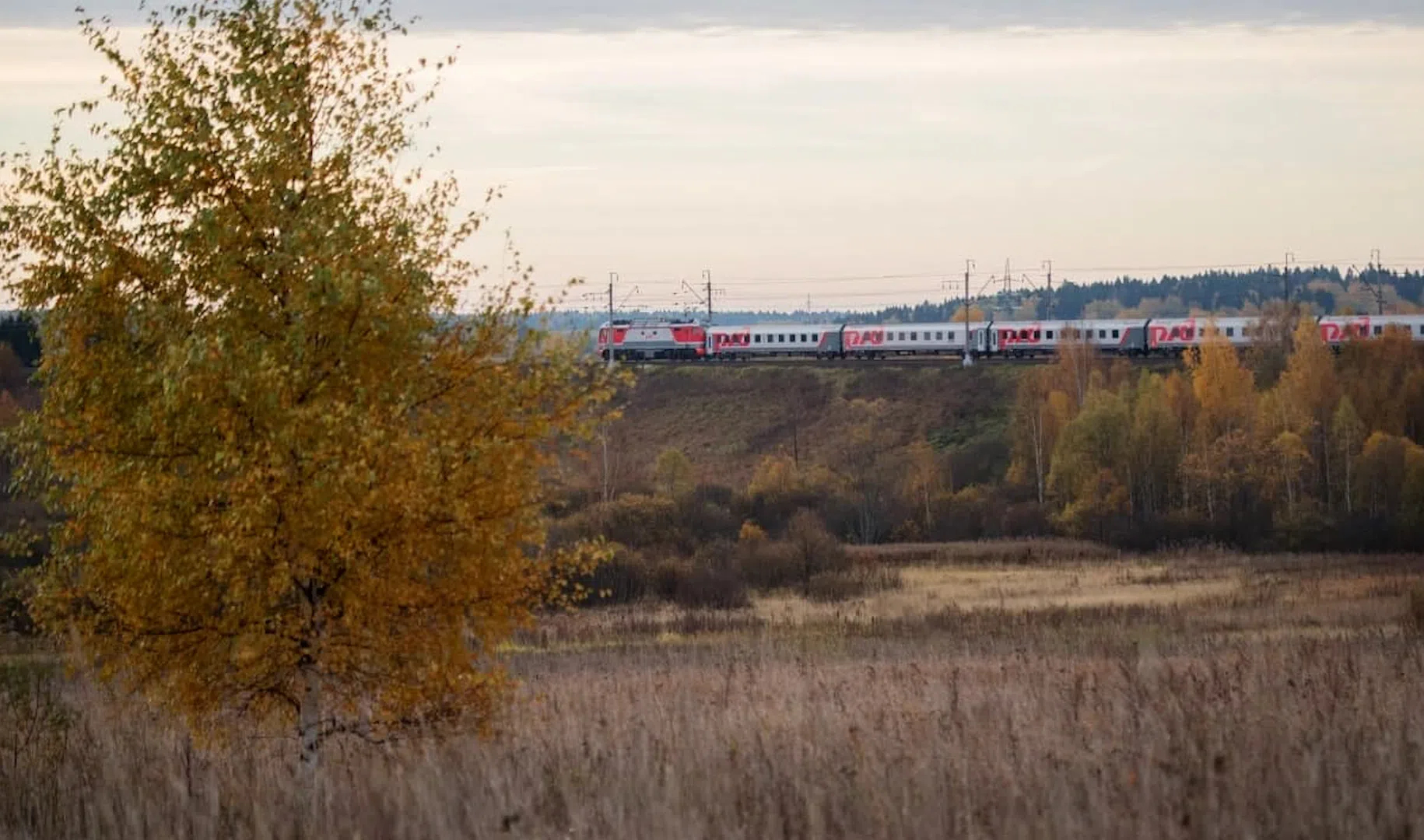 Поезд санкт петербург кострома. Новая железная дорога.