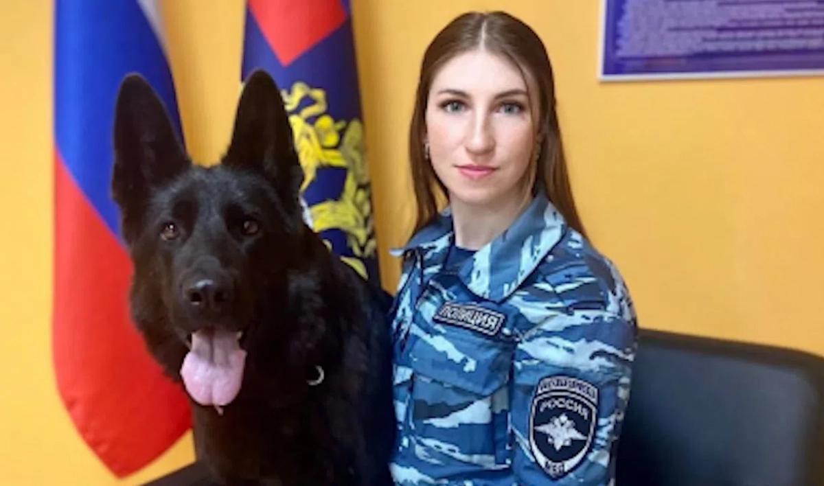 В Петербурге полицейская собака помогла найти предполагаемого убийцу девушки - tvspb.ru