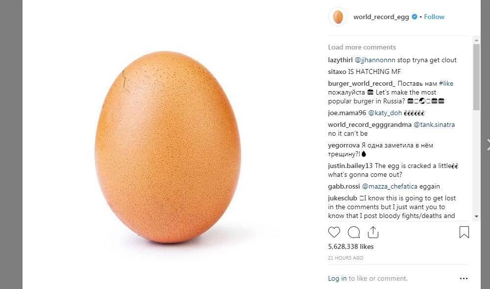 Куриное яйцо-рекордсмен Instagram «треснуло» - tvspb.ru