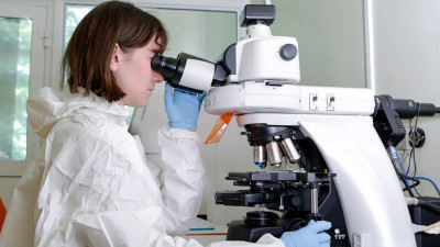 Центр Гамалеи разрабатывает лекарство от COVID-19 из антител