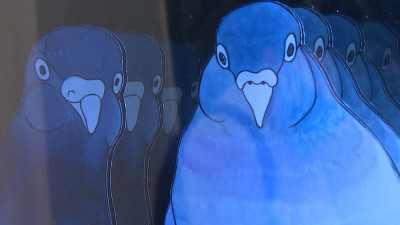 Строительная сетка с вышивкой и скульптура из алюминия: в Петербурге реализуют идеи молодых дизайнеров