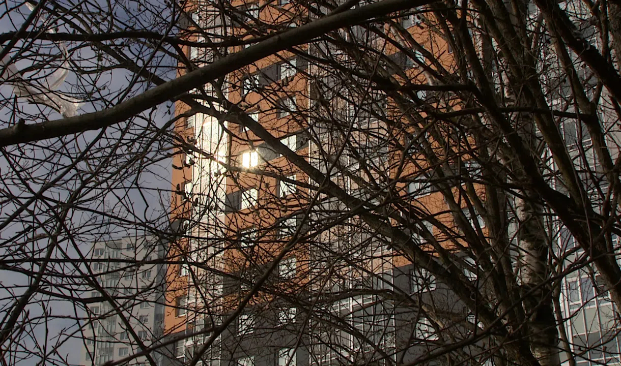 Пейзажный парк красногвардейский район проект