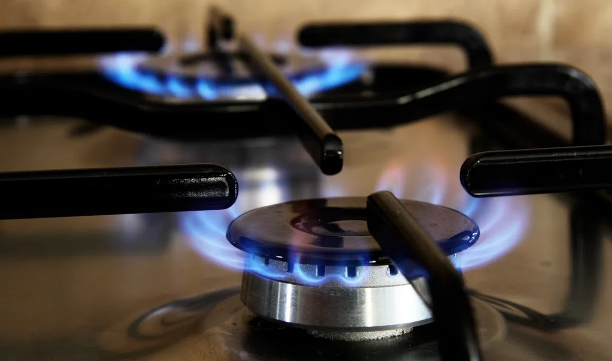 Многодетной семье из Петербурга отключили газ из-за соседских долгов - tvspb.ru