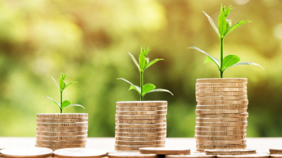 В правительстве планируют увеличить минимальный размер пособий по безработице