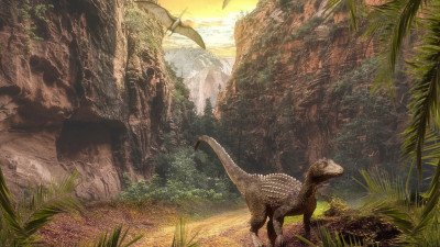 Кто был предком человека до обезьяны и почему ворона — это динозавр: биолог об эволюции