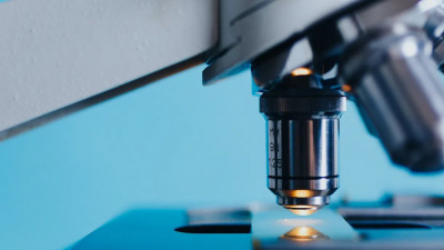 В СПбГУ рассказали, как работает созданная вузом модель распространения коронавируса