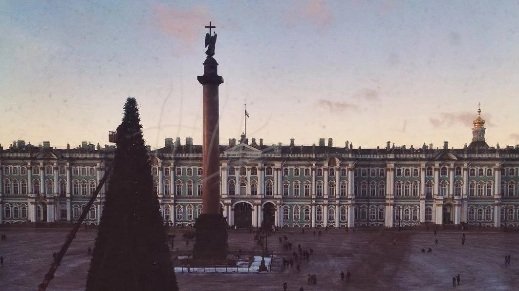 На Дворцовой площади «выросла» новогодняя елка - tvspb.ru