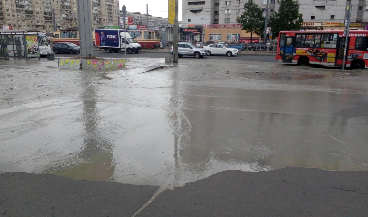 На Просвещения вновь разлив воды. В районе второй день проходят гидравлические испытания - tvspb.ru