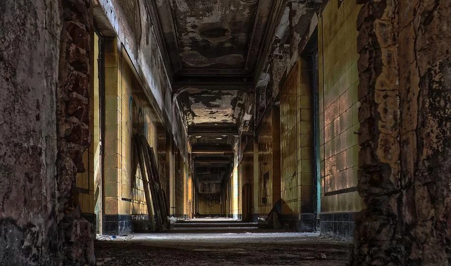 В заброшенном здании Приморского района нашли четыре трупа - tvspb.ru