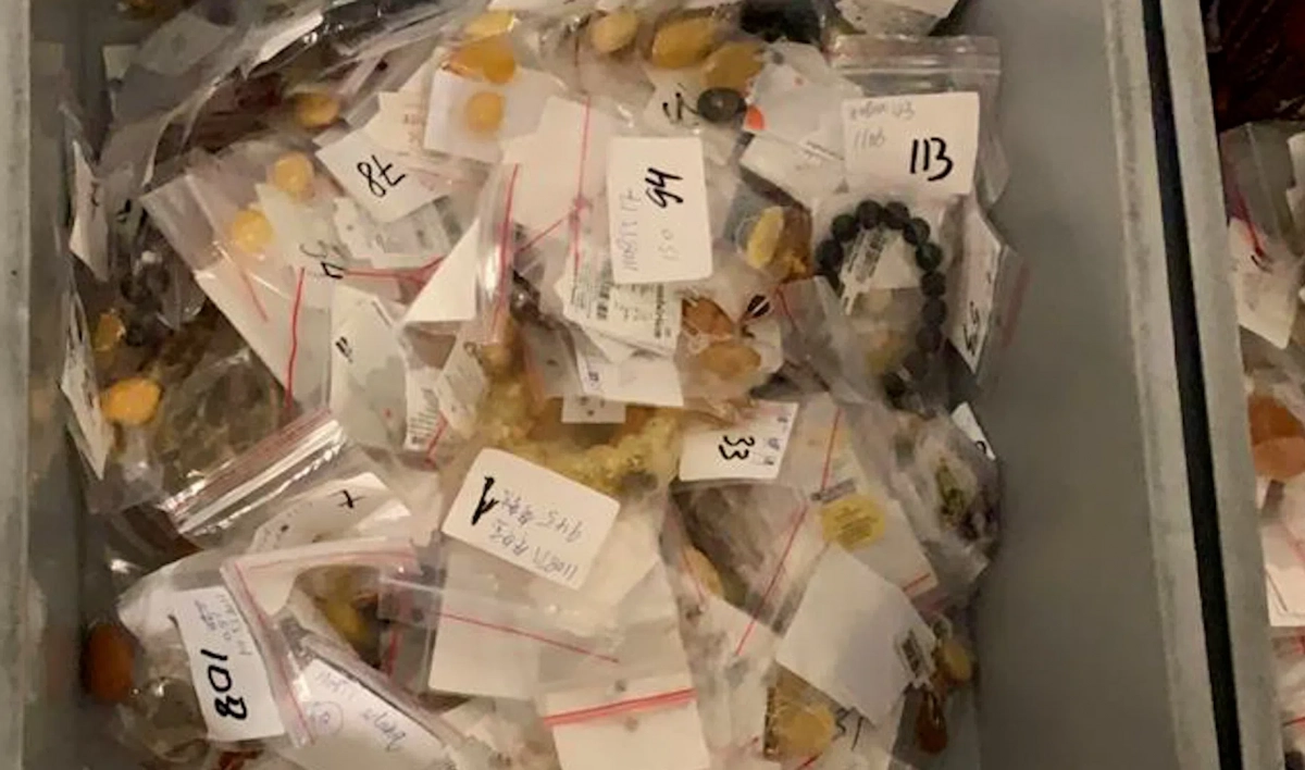 В Пулково пассажир пытался провезти тысячу ювелирных украшений в коробках из-под тортов - tvspb.ru