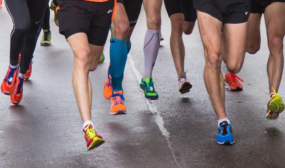 В Удельном парке состоится ночной забег «Приморские светлячки» - tvspb.ru