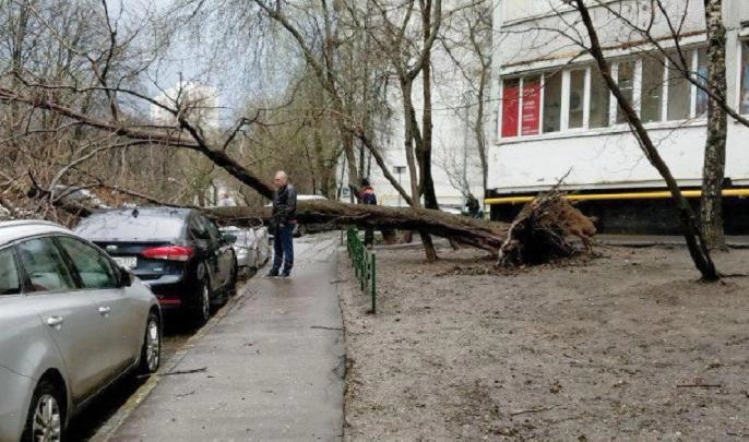 На столицу обрушился ураган, есть пострадавшие - tvspb.ru