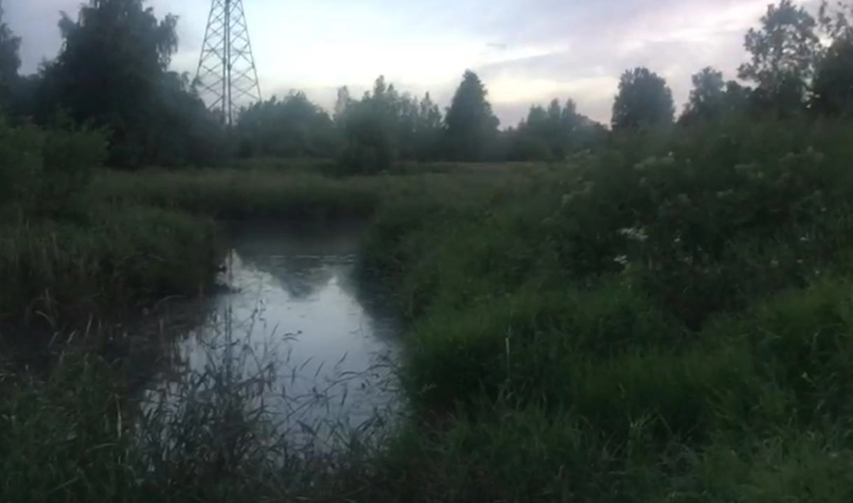 Росприроднадзор выяснил, кто ночью сбрасывал стоки в реку Славянку - tvspb.ru