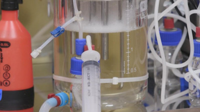 Игроки и тренеры «Зенита» сдадут тест на коронавирус