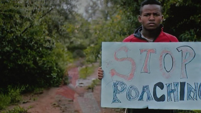 На Фестивале экологических фильмов в Петербурге подняли тему сохранения планеты