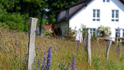 Материнский капитал предложили использовать для покупки земли