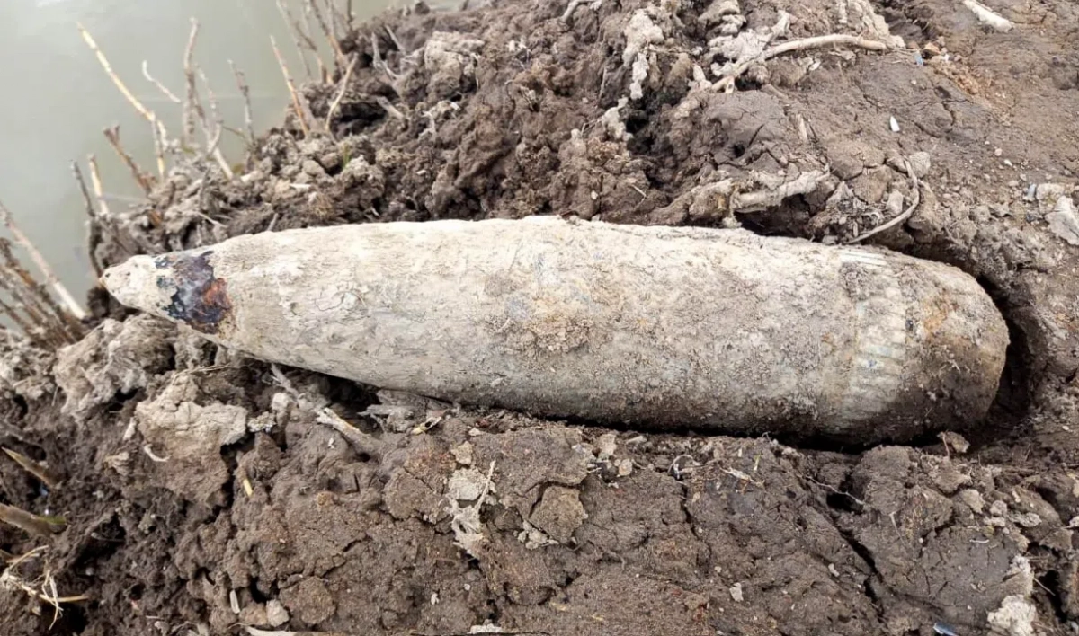 Неразорвавшийся немецкий снаряд времен ВОВ нашли в лесу во Всеволожском районе - tvspb.ru