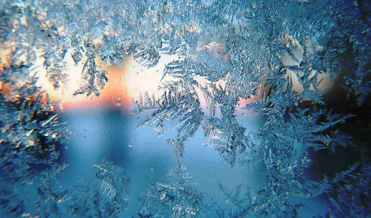 Шведские ученые рассказали о смертельной опасности зимы - tvspb.ru