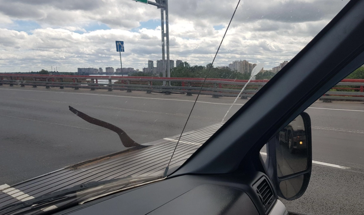 На КАД поврежден деформационный шов, движение частично перекрыто - tvspb.ru