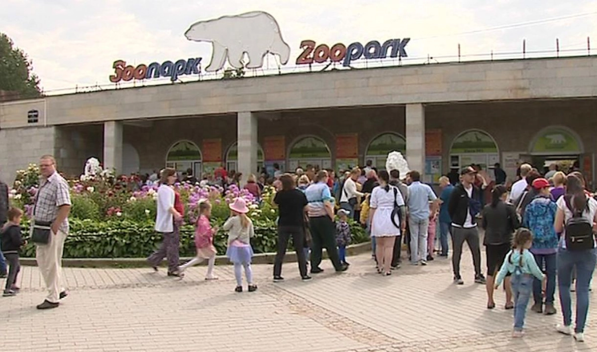 Вольер в Ленинградском зоопарке мог вспыхнуть из-за оборвавшегося кабеля - tvspb.ru