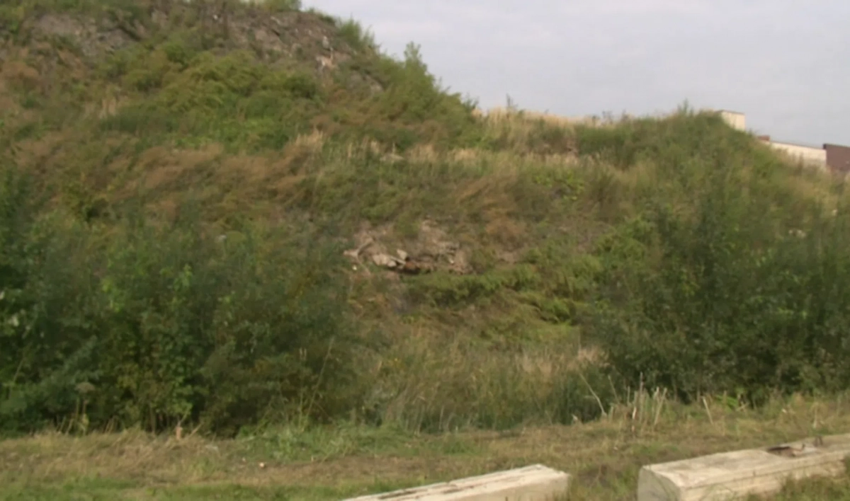 Золоотвал на Дальневосточном проспекте ликвидируют в декабре 2021 года - tvspb.ru