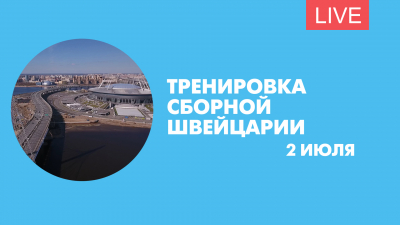 Пресс-конференция и тренировка сборной Швейцарии перед матчем со Швецией. Онлайн-трансляция