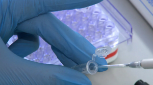В НИИ Пастера разрабатывают препарат для кожного теста на клеточный иммунитет к коронавирусу