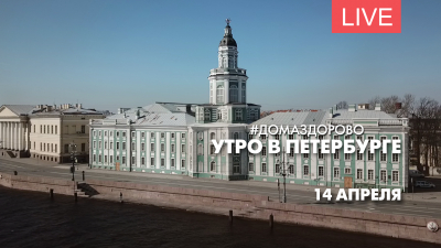 Утро в Петербурге. Дома