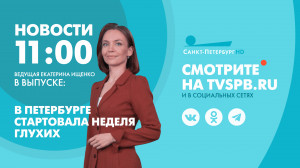 Новости Петербурга к 11:00