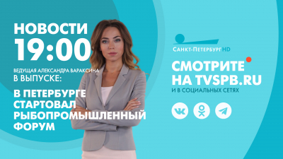 Новости Петербурга к 19:00