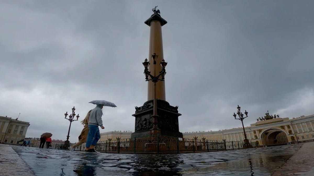 Дорожные и садово-парковые предприятия Петербурга усилят безопасность перед непогодой - tvspb.ru