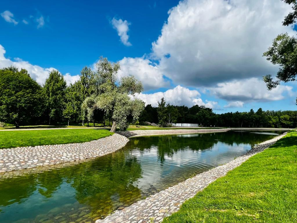 Парк александрия в петергофе. Пруд петергофа. Ольгино озеро петергоф. Пруд петергофа. Царицын павильон в петергофе.