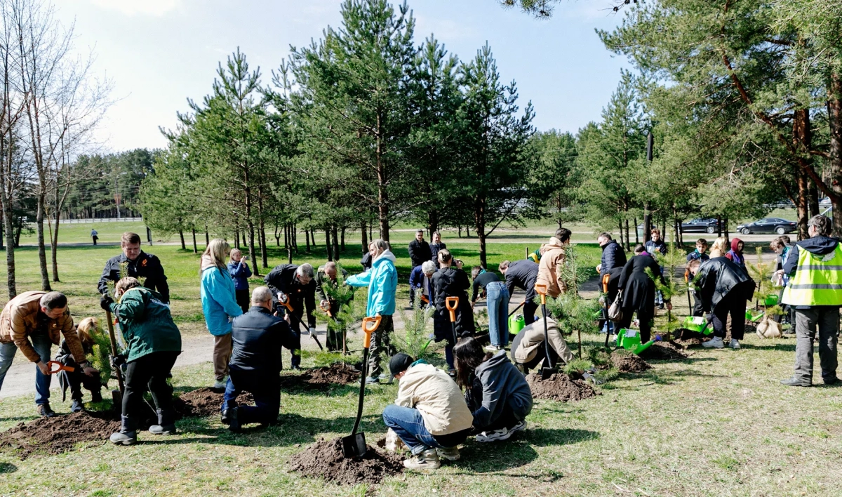 В этом году «Сад памяти» пополнили 2000 деревьев и кустарников - tvspb.ru