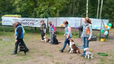 В Петербурге прошел седьмой особенный фестиваль «Верность»