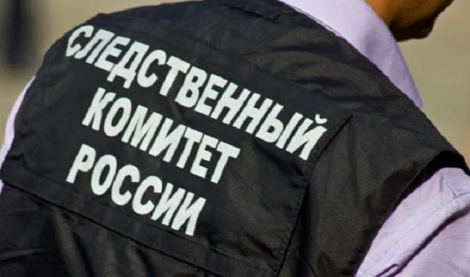 СК проводит доследственную проверку по факту смерти популярного блогера - tvspb.ru