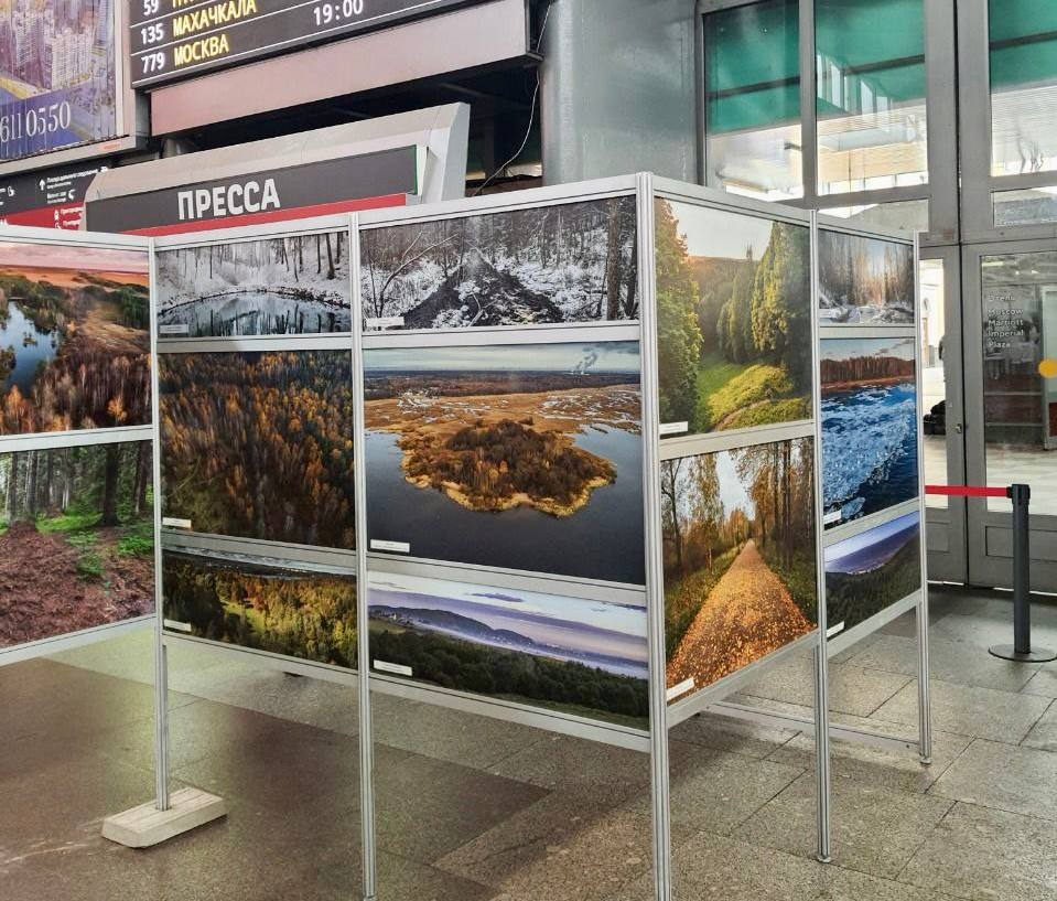 На Московском вокзале открылась фотовыставка «Погружение в природу»
