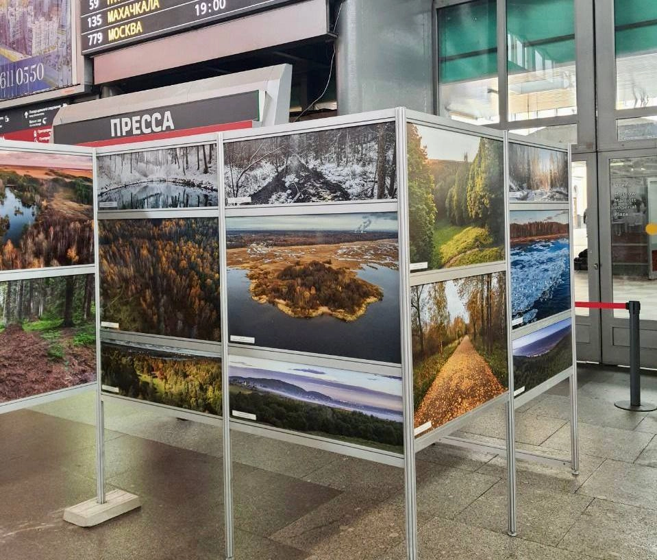 На Московском вокзале открылась фотовыставка «Погружение в природу» - tvspb.ru
