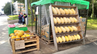 В Петербурге закрыли палатки, незаконно торгующие фруктами, икрой и овощами