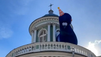 На крыше церкви Анненкирхе заметили большого надувного голубя