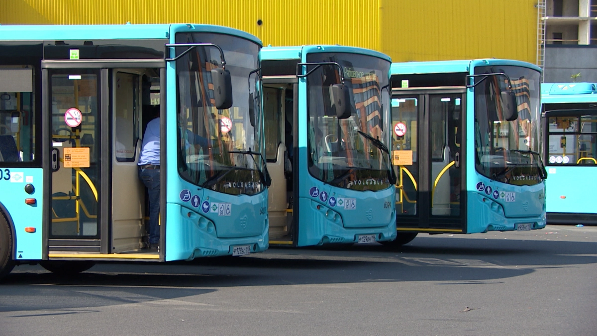 Еще 12 автобусов из Петербурга получил Мариуполь | Телеканал Санкт-Петербург