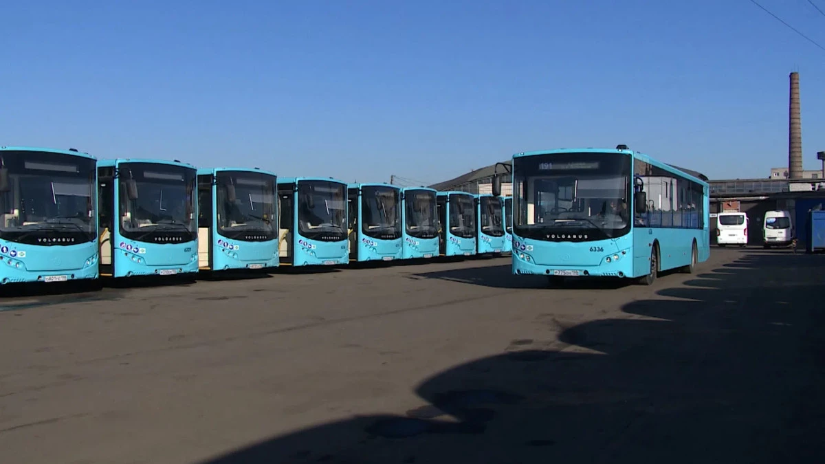 Более 200 автобусов большого класса получит Петербург до декабря - tvspb.ru