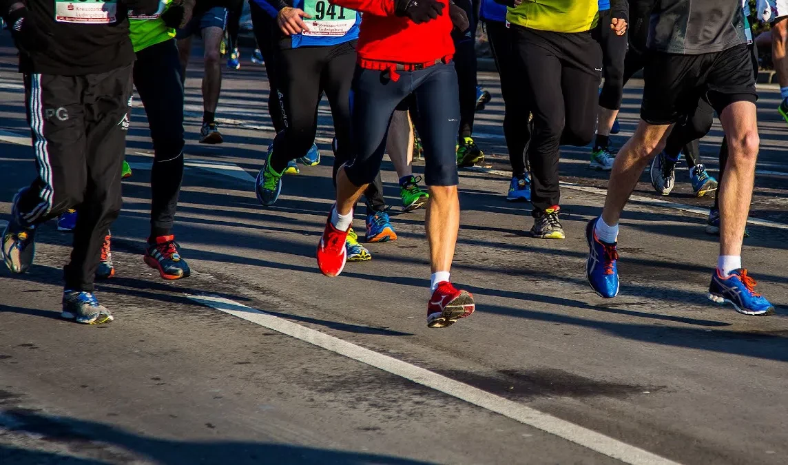 Самый живописный полумарафон на территории ГМЗ «Павловск» пройдет 5 октября - tvspb.ru