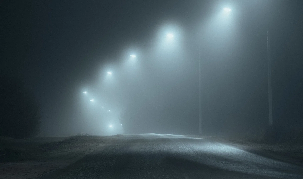 В Ленинградской области ночью местами будет густой туман - tvspb.ru