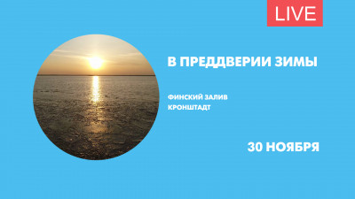 Финский залив в преддверии зимы. Дзен-стрим