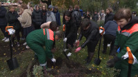 В Некрасовском саду увековечили память героев Арктики
