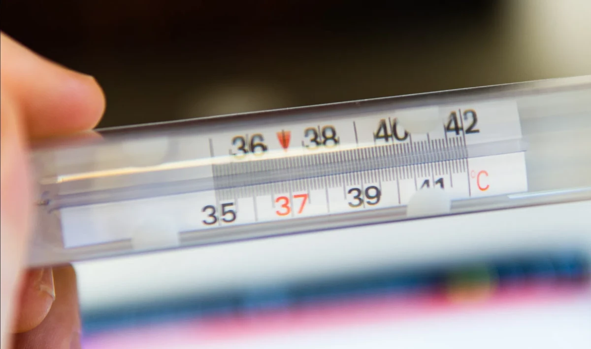 Петербуржцев предупредили о COVID с лихорадкой и высокой температурой у детей - tvspb.ru